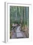 Japan, Kanagawa, Kamakura, Hokokuji Temple Garden-Rob Tilley-Framed Photographic Print