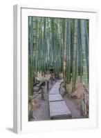 Japan, Kanagawa, Kamakura, Hokokuji Temple Garden-Rob Tilley-Framed Photographic Print