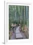 Japan, Kanagawa, Kamakura, Hokokuji Temple Garden-Rob Tilley-Framed Photographic Print