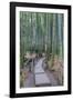 Japan, Kanagawa, Kamakura, Hokokuji Temple Garden-Rob Tilley-Framed Photographic Print