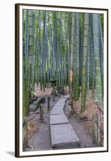 Japan, Kanagawa, Kamakura, Hokokuji Temple Garden-Rob Tilley-Framed Premium Photographic Print