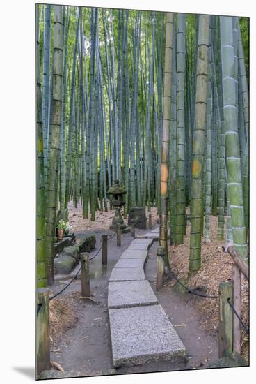 Japan, Kanagawa, Kamakura, Hokokuji Temple Garden-Rob Tilley-Mounted Premium Photographic Print