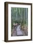 Japan, Kanagawa, Kamakura, Hokokuji Temple Garden-Rob Tilley-Framed Photographic Print