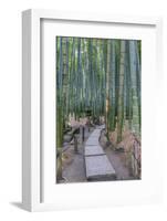 Japan, Kanagawa, Kamakura, Hokokuji Temple Garden-Rob Tilley-Framed Photographic Print