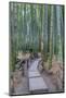 Japan, Kanagawa, Kamakura, Hokokuji Temple Garden-Rob Tilley-Mounted Photographic Print