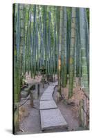 Japan, Kanagawa, Kamakura, Hokokuji Temple Garden-Rob Tilley-Stretched Canvas