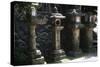 Japan, Kansai, Nara, Kasuga Taisha Grand Shrine, Lanterns-null-Stretched Canvas