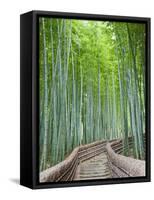 Japan, Kyoto, Arashiyama, Adashino Nembutsu-ji Temple, Bamboo Forest-Steve Vidler-Framed Stretched Canvas
