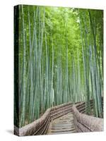 Japan, Kyoto, Arashiyama, Adashino Nembutsu-ji Temple, Bamboo Forest-Steve Vidler-Stretched Canvas