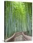 Japan, Kyoto, Arashiyama, Adashino Nembutsu-ji Temple, Bamboo Forest-Steve Vidler-Stretched Canvas