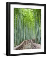 Japan, Kyoto, Arashiyama, Adashino Nembutsu-ji Temple, Bamboo Forest-Steve Vidler-Framed Photographic Print