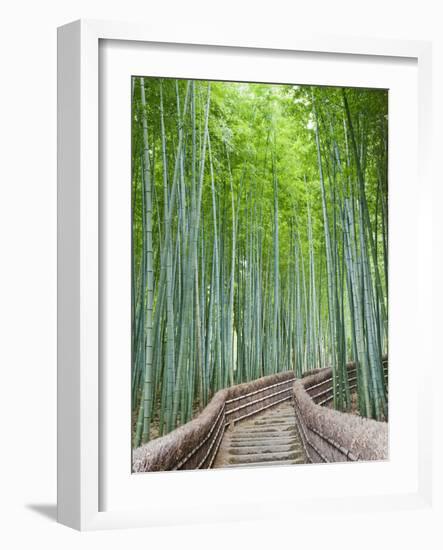 Japan, Kyoto, Arashiyama, Adashino Nembutsu-ji Temple, Bamboo Forest-Steve Vidler-Framed Photographic Print