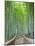 Japan, Kyoto, Arashiyama, Adashino Nembutsu-ji Temple, Bamboo Forest-Steve Vidler-Mounted Photographic Print