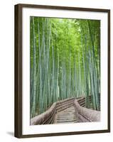 Japan, Kyoto, Arashiyama, Adashino Nembutsu-ji Temple, Bamboo Forest-Steve Vidler-Framed Photographic Print