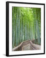 Japan, Kyoto, Arashiyama, Adashino Nembutsu-ji Temple, Bamboo Forest-Steve Vidler-Framed Photographic Print