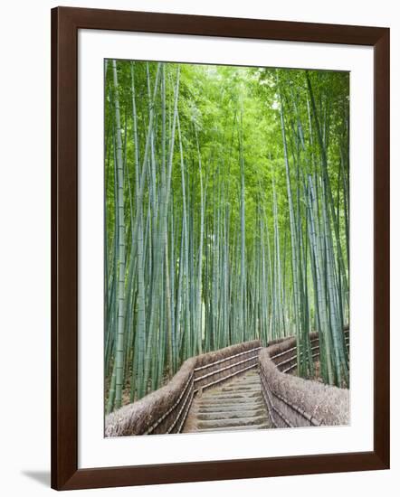 Japan, Kyoto, Arashiyama, Adashino Nembutsu-ji Temple, Bamboo Forest-Steve Vidler-Framed Photographic Print