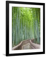 Japan, Kyoto, Arashiyama, Adashino Nembutsu-ji Temple, Bamboo Forest-Steve Vidler-Framed Photographic Print