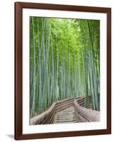 Japan, Kyoto, Arashiyama, Adashino Nembutsu-ji Temple, Bamboo Forest-Steve Vidler-Framed Photographic Print