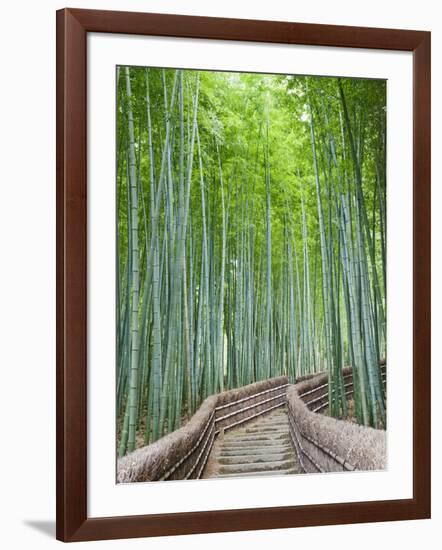 Japan, Kyoto, Arashiyama, Adashino Nembutsu-ji Temple, Bamboo Forest-Steve Vidler-Framed Photographic Print