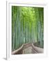 Japan, Kyoto, Arashiyama, Adashino Nembutsu-ji Temple, Bamboo Forest-Steve Vidler-Framed Photographic Print