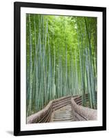 Japan, Kyoto, Arashiyama, Adashino Nembutsu-ji Temple, Bamboo Forest-Steve Vidler-Framed Photographic Print