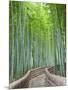 Japan, Kyoto, Arashiyama, Adashino Nembutsu-ji Temple, Bamboo Forest-Steve Vidler-Mounted Photographic Print