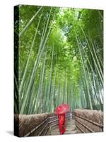 Japan, Kyoto, Arashiyama, Adashino Nembutsu-ji Temple, Bamboo Forest-Steve Vidler-Stretched Canvas