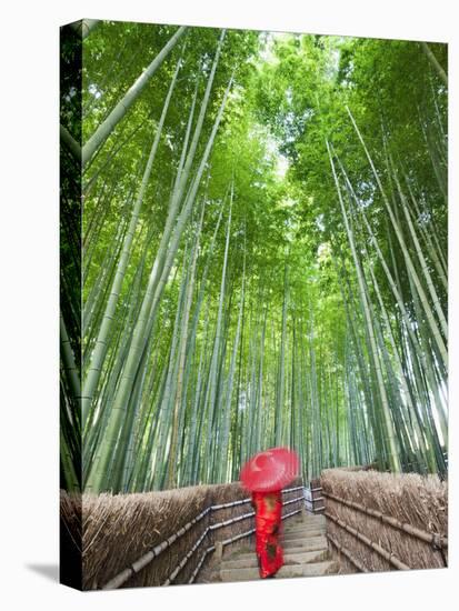 Japan, Kyoto, Arashiyama, Adashino Nembutsu-ji Temple, Bamboo Forest-Steve Vidler-Stretched Canvas