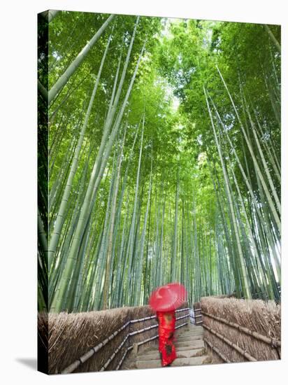 Japan, Kyoto, Arashiyama, Adashino Nembutsu-ji Temple, Bamboo Forest-Steve Vidler-Stretched Canvas