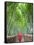 Japan, Kyoto, Arashiyama, Adashino Nembutsu-ji Temple, Bamboo Forest-Steve Vidler-Framed Stretched Canvas