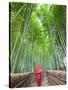 Japan, Kyoto, Arashiyama, Adashino Nembutsu-ji Temple, Bamboo Forest-Steve Vidler-Stretched Canvas