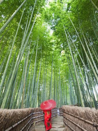 https://imgc.allpostersimages.com/img/posters/japan-kyoto-arashiyama-adashino-nembutsu-ji-temple-bamboo-forest_u-L-PJBXIN0.jpg?artPerspective=n