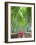 Japan, Kyoto, Arashiyama, Adashino Nembutsu-ji Temple, Bamboo Forest-Steve Vidler-Framed Photographic Print