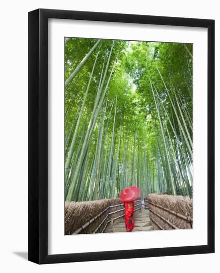 Japan, Kyoto, Arashiyama, Adashino Nembutsu-ji Temple, Bamboo Forest-Steve Vidler-Framed Photographic Print