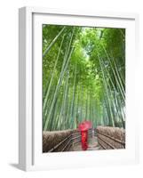 Japan, Kyoto, Arashiyama, Adashino Nembutsu-ji Temple, Bamboo Forest-Steve Vidler-Framed Photographic Print