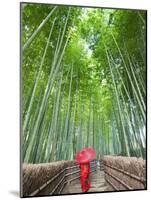 Japan, Kyoto, Arashiyama, Adashino Nembutsu-ji Temple, Bamboo Forest-Steve Vidler-Mounted Photographic Print