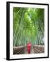 Japan, Kyoto, Arashiyama, Adashino Nembutsu-ji Temple, Bamboo Forest-Steve Vidler-Framed Photographic Print