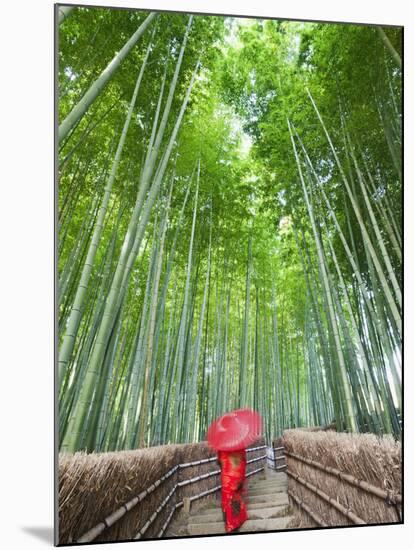 Japan, Kyoto, Arashiyama, Adashino Nembutsu-ji Temple, Bamboo Forest-Steve Vidler-Mounted Photographic Print