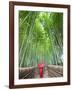 Japan, Kyoto, Arashiyama, Adashino Nembutsu-ji Temple, Bamboo Forest-Steve Vidler-Framed Photographic Print