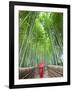 Japan, Kyoto, Arashiyama, Adashino Nembutsu-ji Temple, Bamboo Forest-Steve Vidler-Framed Photographic Print