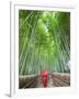 Japan, Kyoto, Arashiyama, Adashino Nembutsu-ji Temple, Bamboo Forest-Steve Vidler-Framed Photographic Print