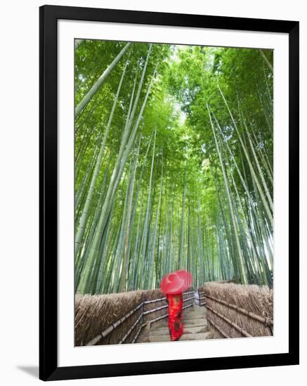 Japan, Kyoto, Arashiyama, Adashino Nembutsu-ji Temple, Bamboo Forest-Steve Vidler-Framed Photographic Print