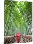 Japan, Kyoto, Arashiyama, Adashino Nembutsu-ji Temple, Bamboo Forest-Steve Vidler-Mounted Photographic Print