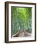 Japan, Kyoto, Arashiyama, Adashino Nembutsu-ji Temple, Bamboo Forest-Steve Vidler-Framed Premium Photographic Print