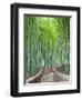 Japan, Kyoto, Arashiyama, Adashino Nembutsu-ji Temple, Bamboo Forest-Steve Vidler-Framed Premium Photographic Print