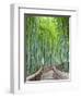 Japan, Kyoto, Arashiyama, Adashino Nembutsu-ji Temple, Bamboo Forest-Steve Vidler-Framed Premium Photographic Print