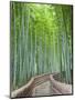 Japan, Kyoto, Arashiyama, Adashino Nembutsu-ji Temple, Bamboo Forest-Steve Vidler-Mounted Premium Photographic Print