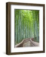 Japan, Kyoto, Arashiyama, Adashino Nembutsu-ji Temple, Bamboo Forest-Steve Vidler-Framed Photographic Print