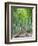 Japan, Kyoto, Arashiyama, Adashino Nembutsu-ji Temple, Bamboo Forest-Steve Vidler-Framed Photographic Print