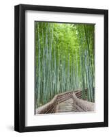 Japan, Kyoto, Arashiyama, Adashino Nembutsu-ji Temple, Bamboo Forest-Steve Vidler-Framed Photographic Print